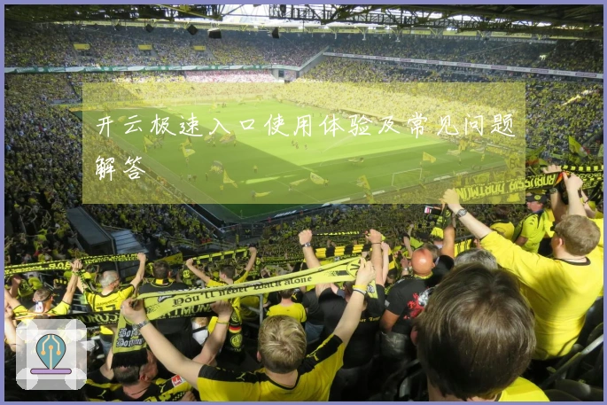 开云极速入口使用体验及常见问题解答
