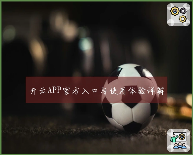 开云APP官方入口与使用体验详解