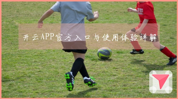 开云APP官方入口与使用体验详解