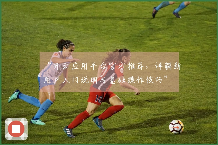 “开云应用平台官方推荐，详解新用户入门说明与基础操作技巧”