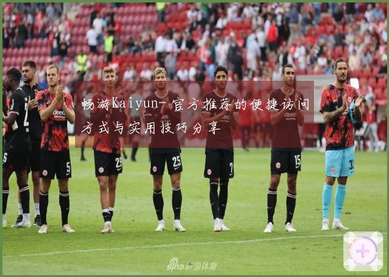 畅游Kaiyun- 官方推荐的便捷访问方式与实用技巧分享